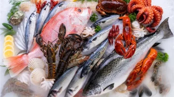 سعر السمك اليوم يشهد ارتفاعًا في 3 أصناف بينها المكرونة مع استقرار البلطي بعد تراجع متواصل 1